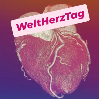 Instagram post from sepsishelden. This post is in position 2.